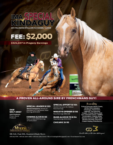 Ima Special Kindaguy—2011 palomino stallion by Frenchmans Guy with $324,637 in progeny earnings. Proven all-around sire standing for $2,000. 