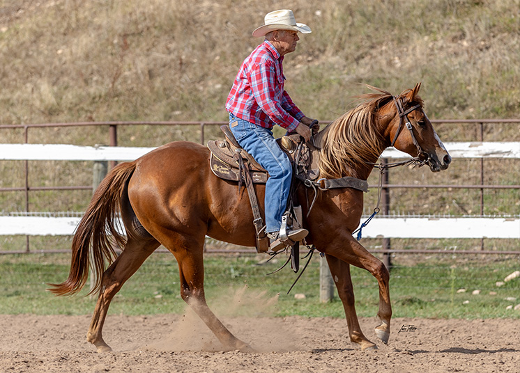 Mare Power on Full Display in Myers Online Prospect Sale
