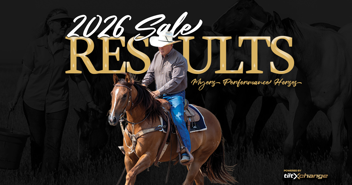 Sassy Disarray Leads Mare Power at Myers Online Production Sale